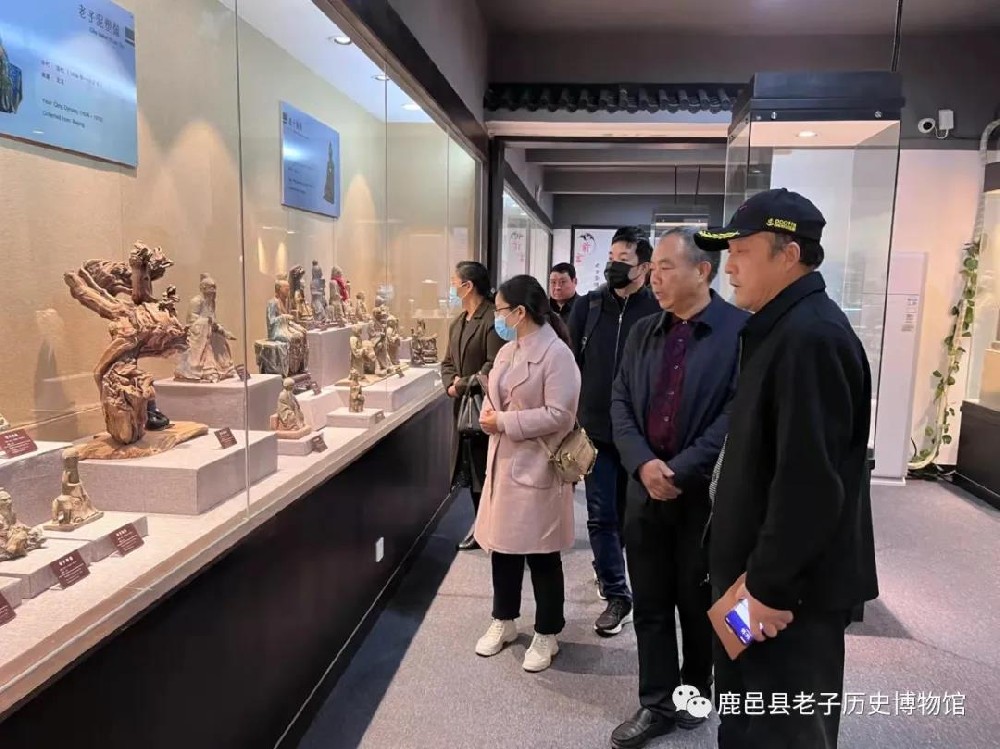 河南省文物局博物馆处领导莅临老子历史博物馆考察指导工作