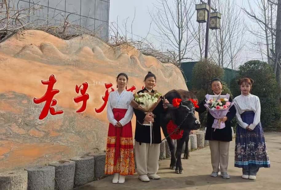 微信图片_20260103160255_323_17_副本.jpg