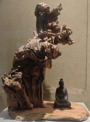 微信图片_20260224103435_696_142_副本.jpg
