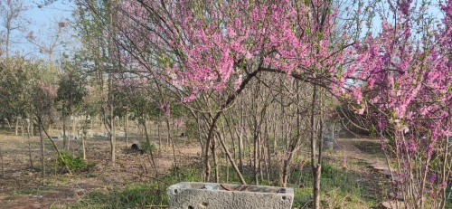 微信图片_20260722083629_1570_142_副本.jpg