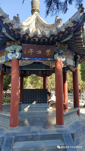 640.webp (1)_副本.png
